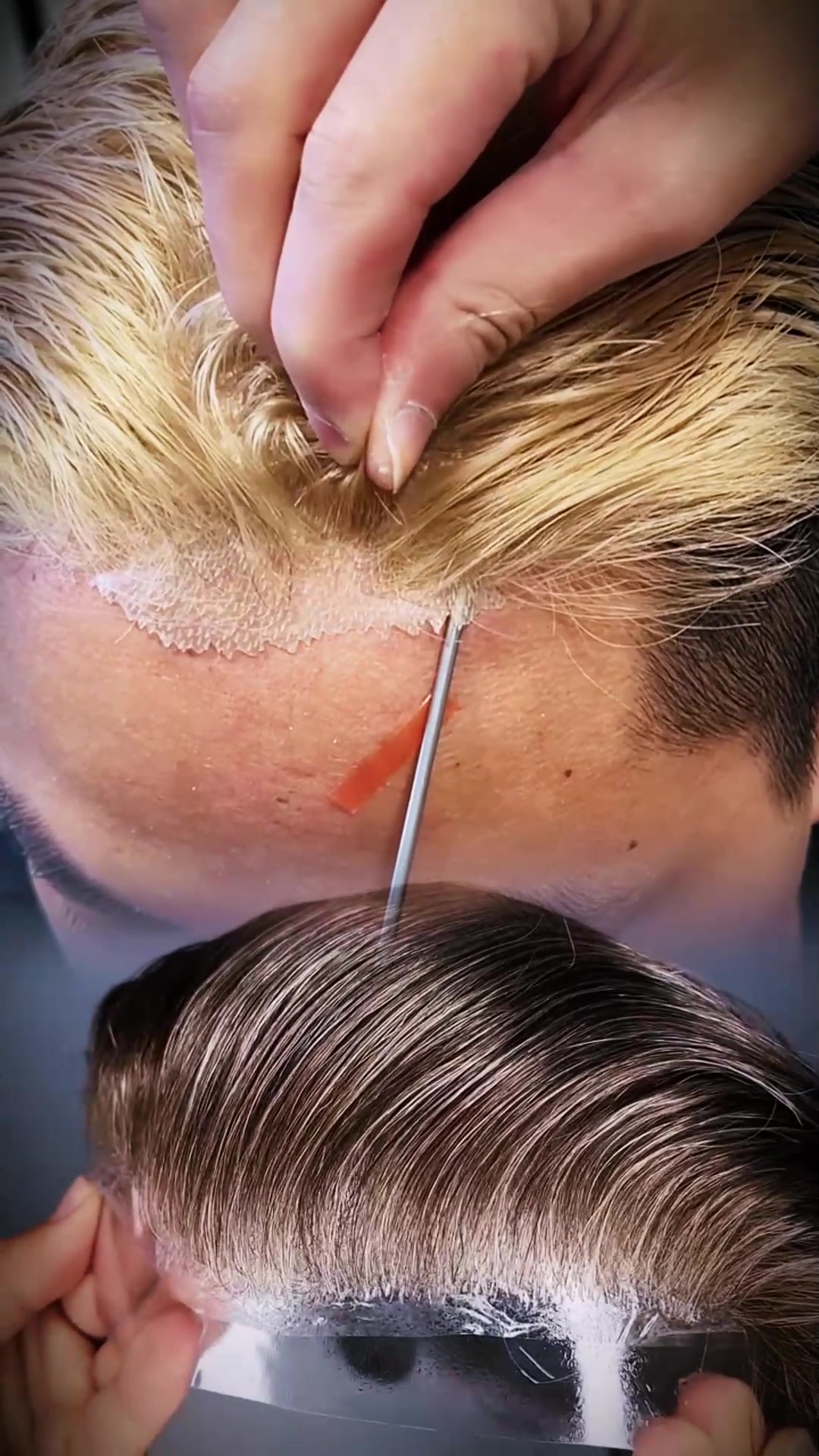 @criuswig.com