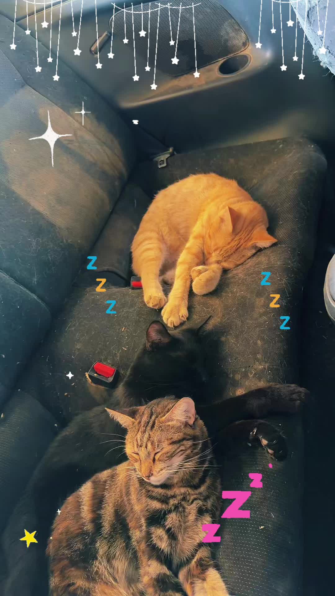 @Amri Gatitos