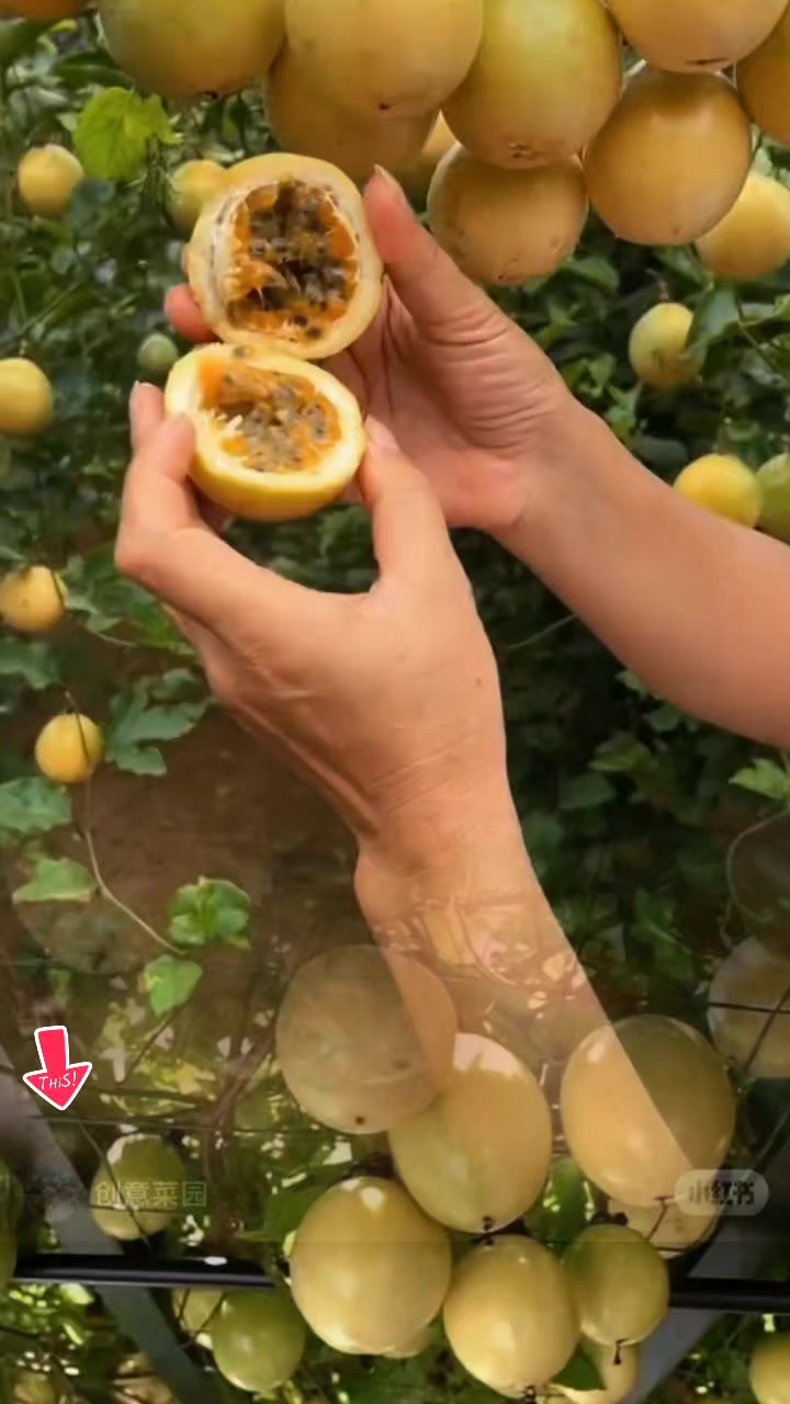 @tới đồ dùng