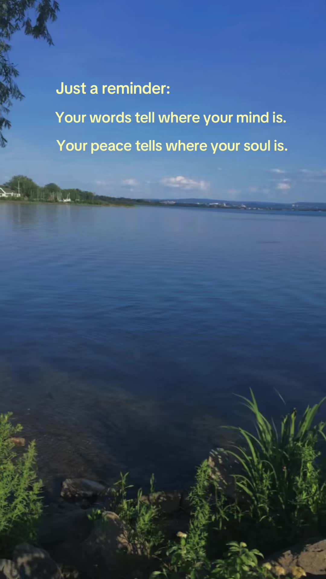 @The Soul Between ✨