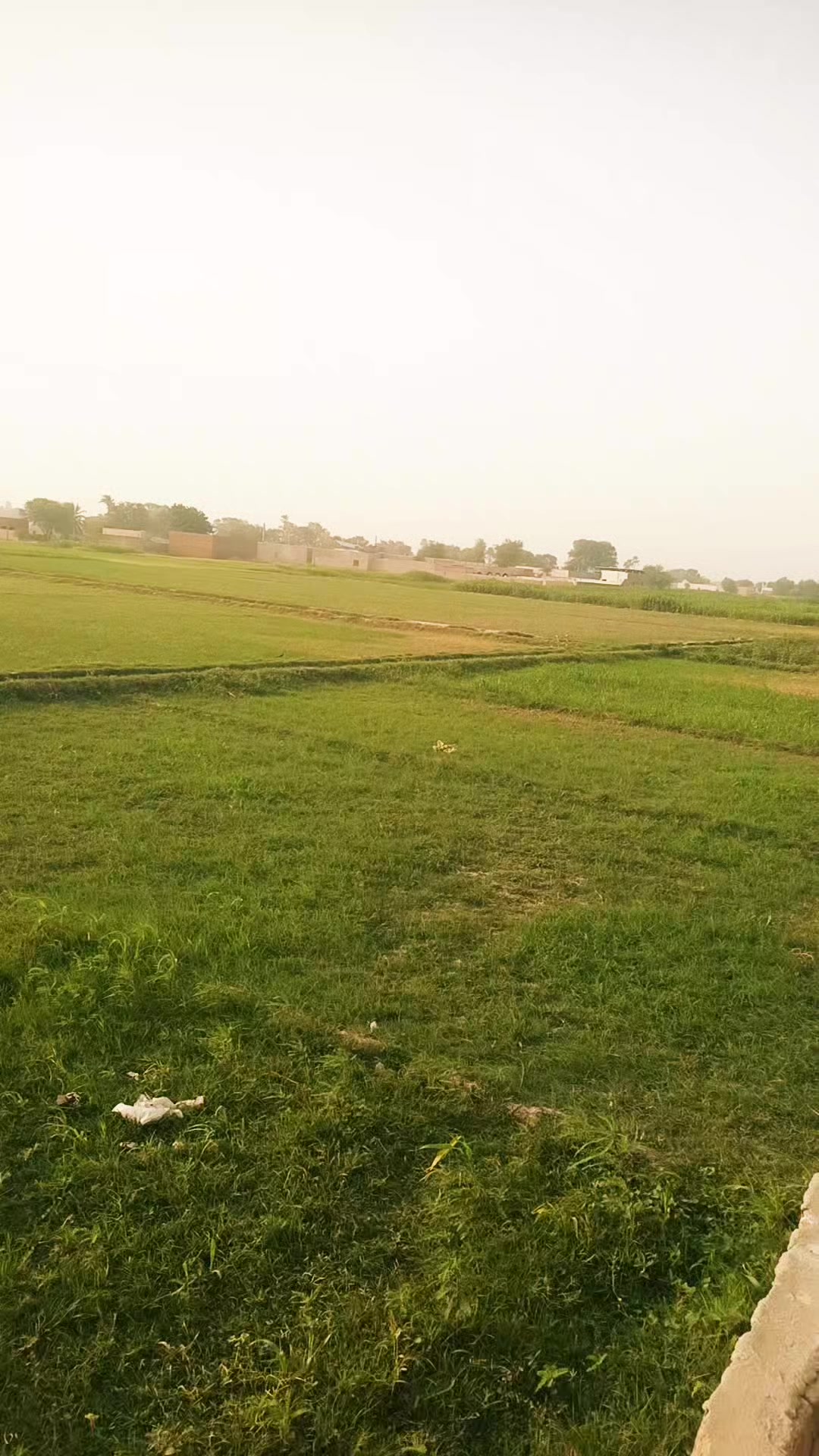 @A. Z