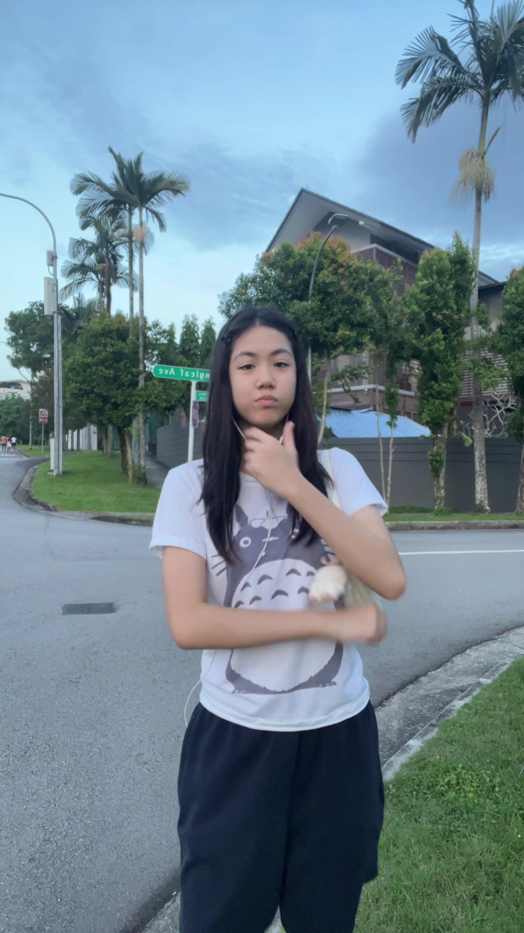 @raine