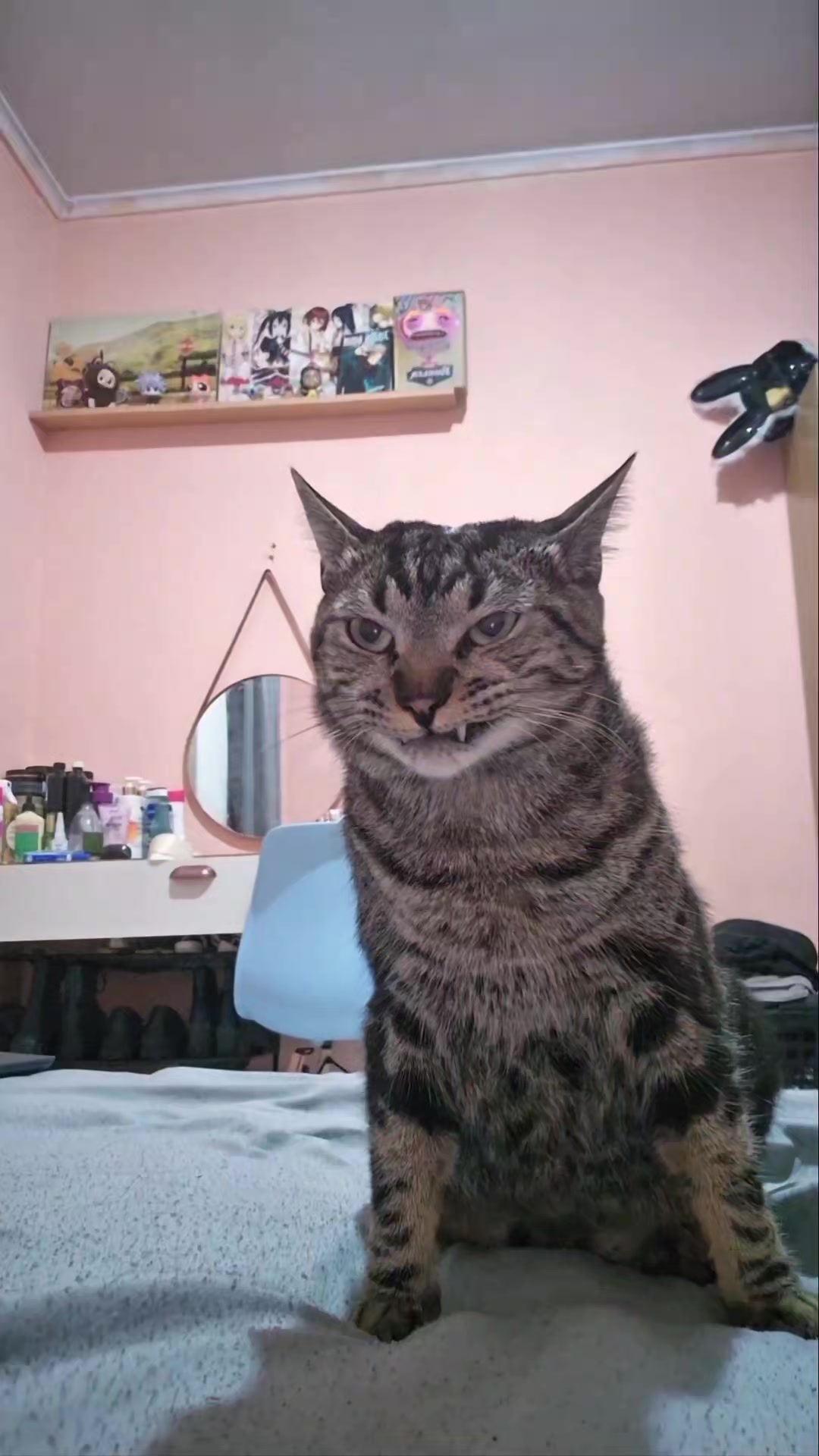 @Mushu