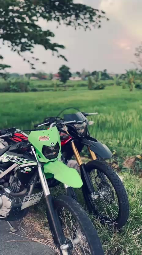 @radong