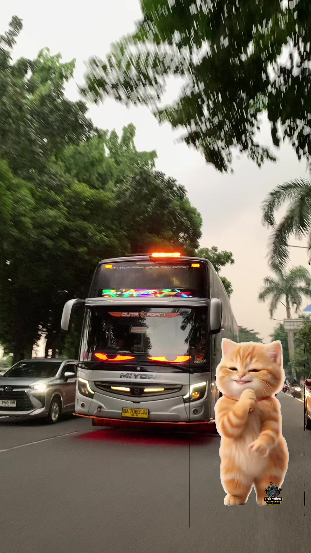 @syaadmuda