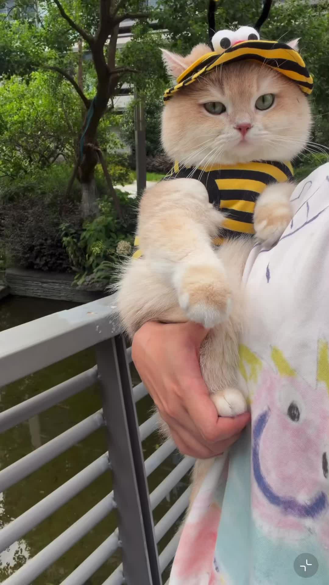 @My Daily Dose of Aww