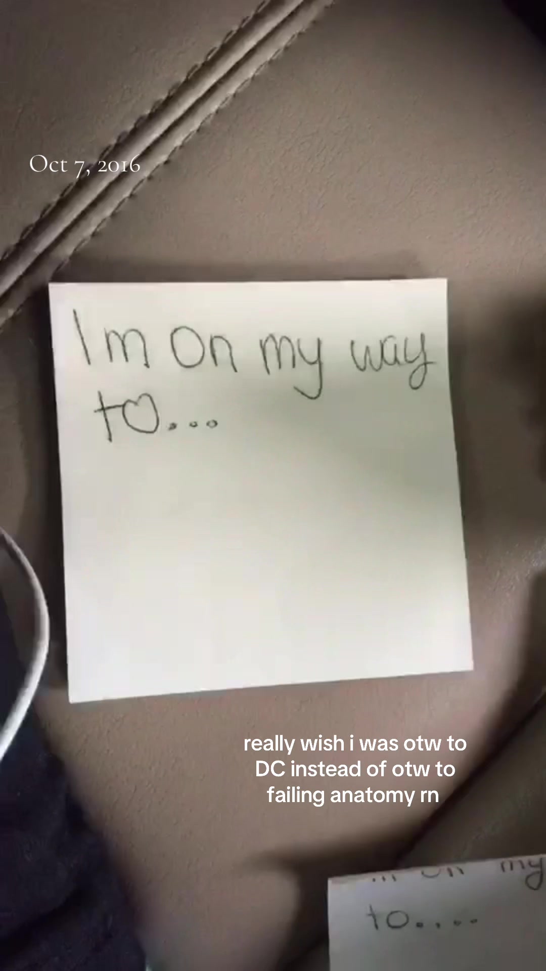 @lily