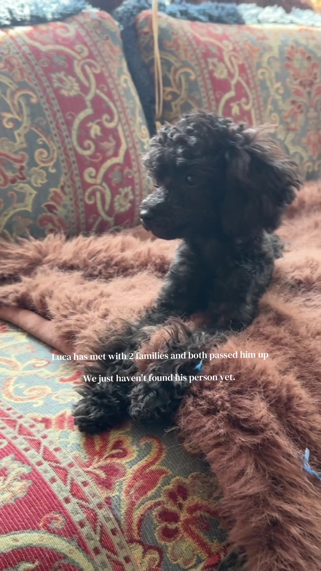 @packwalkdiaries