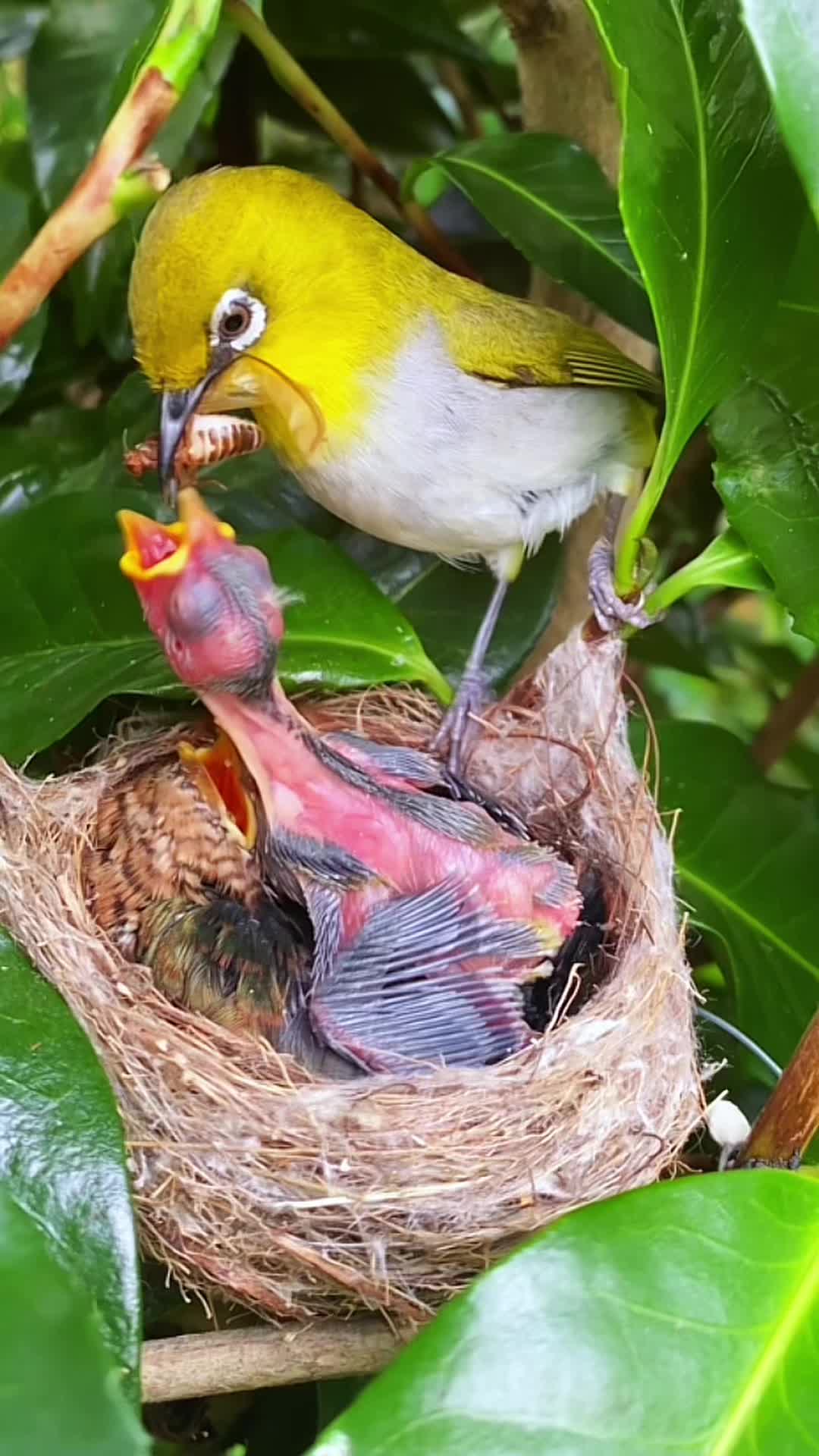 @gyfhvavmjg7