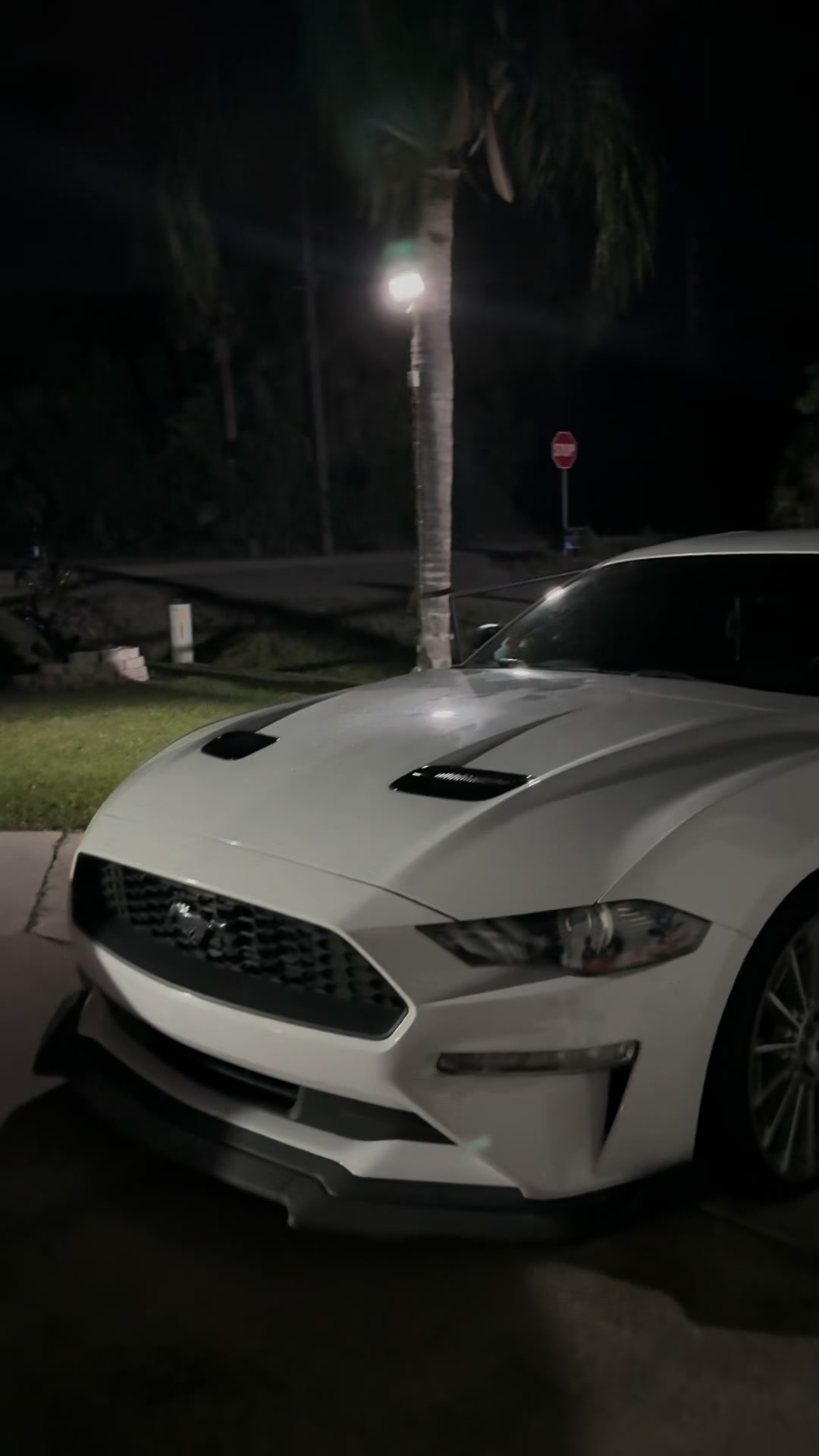 @brieeezyyy_stang