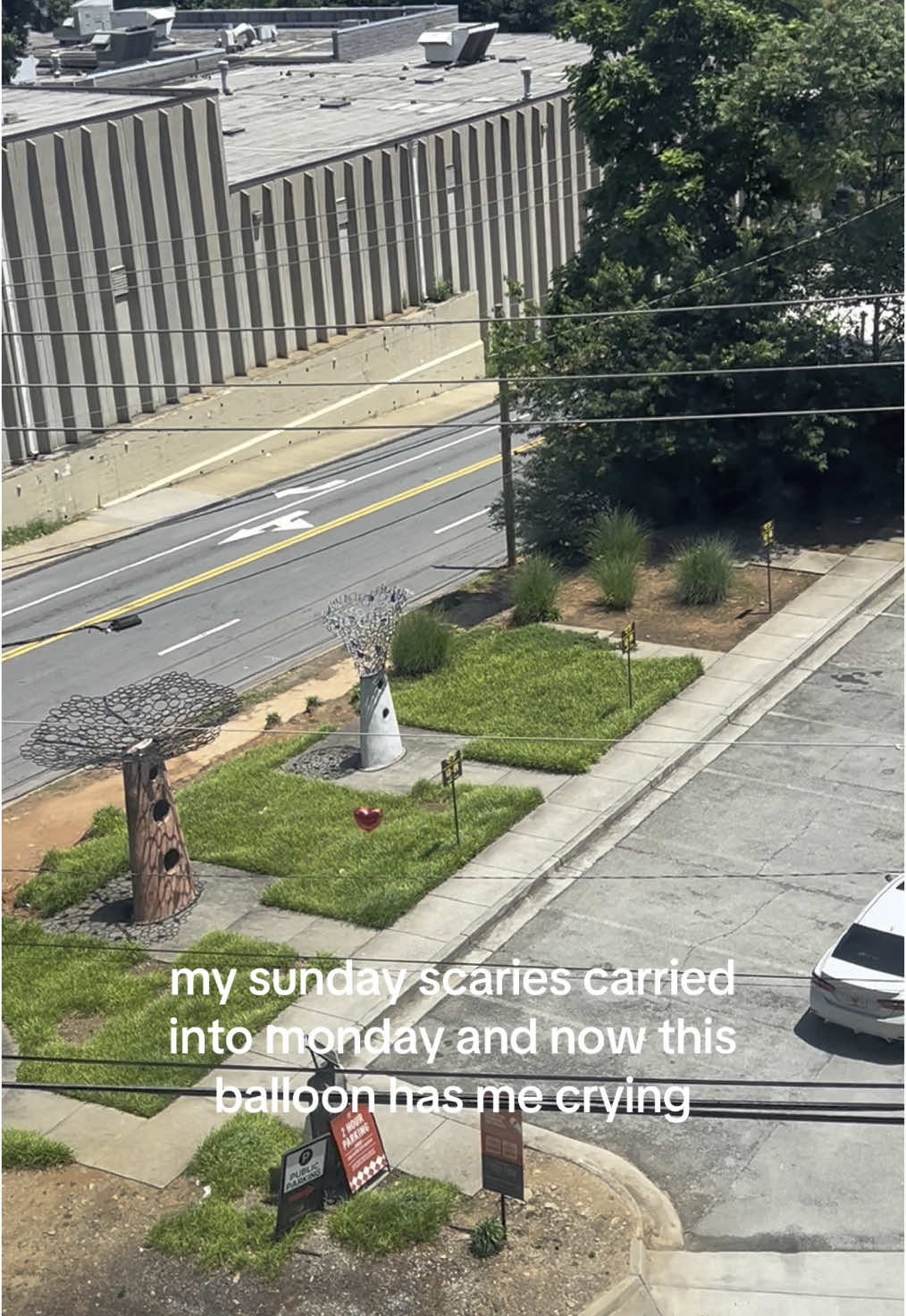 @ceelogrooms