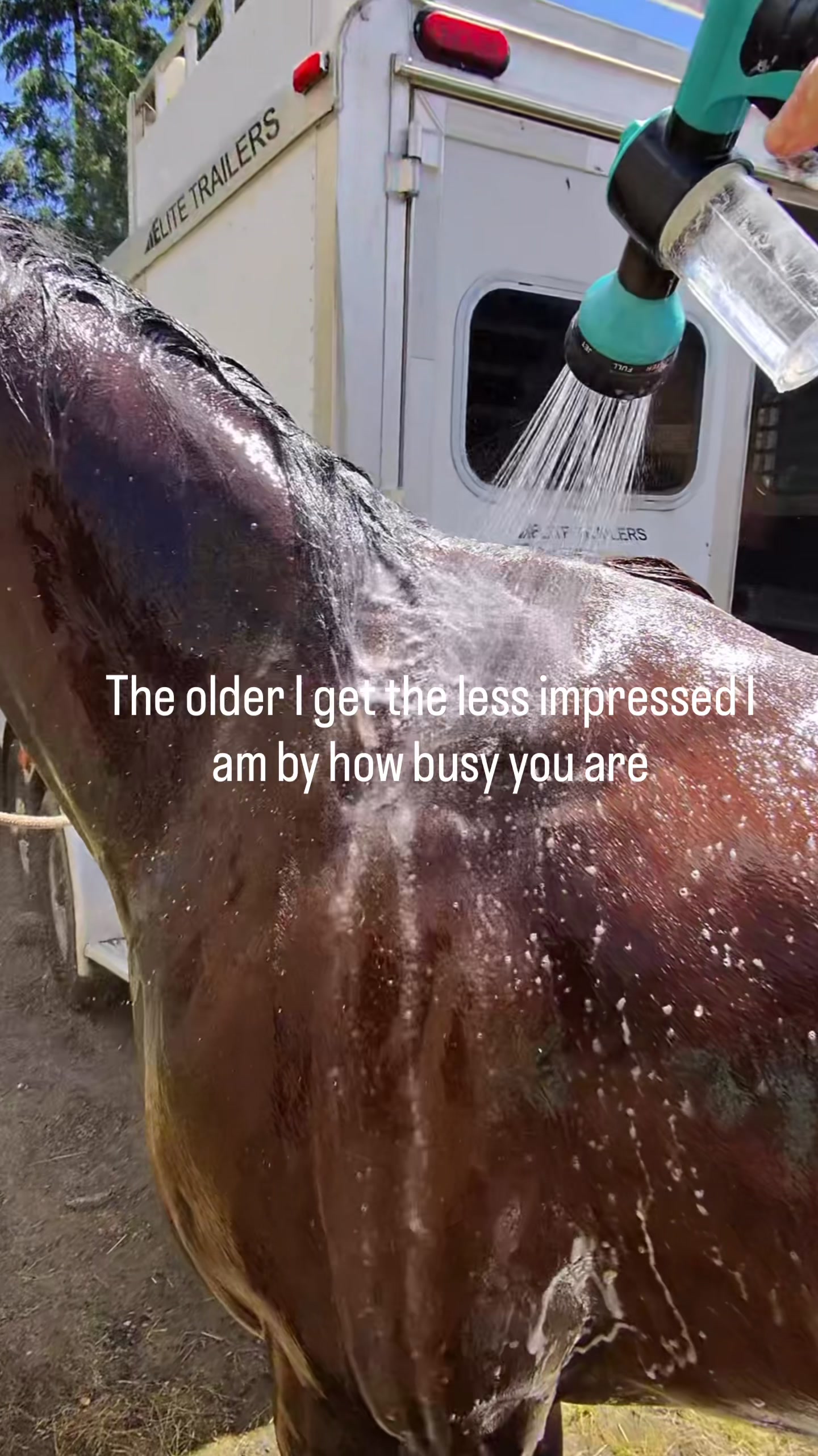 @SAMANTHA | BARREL RACING