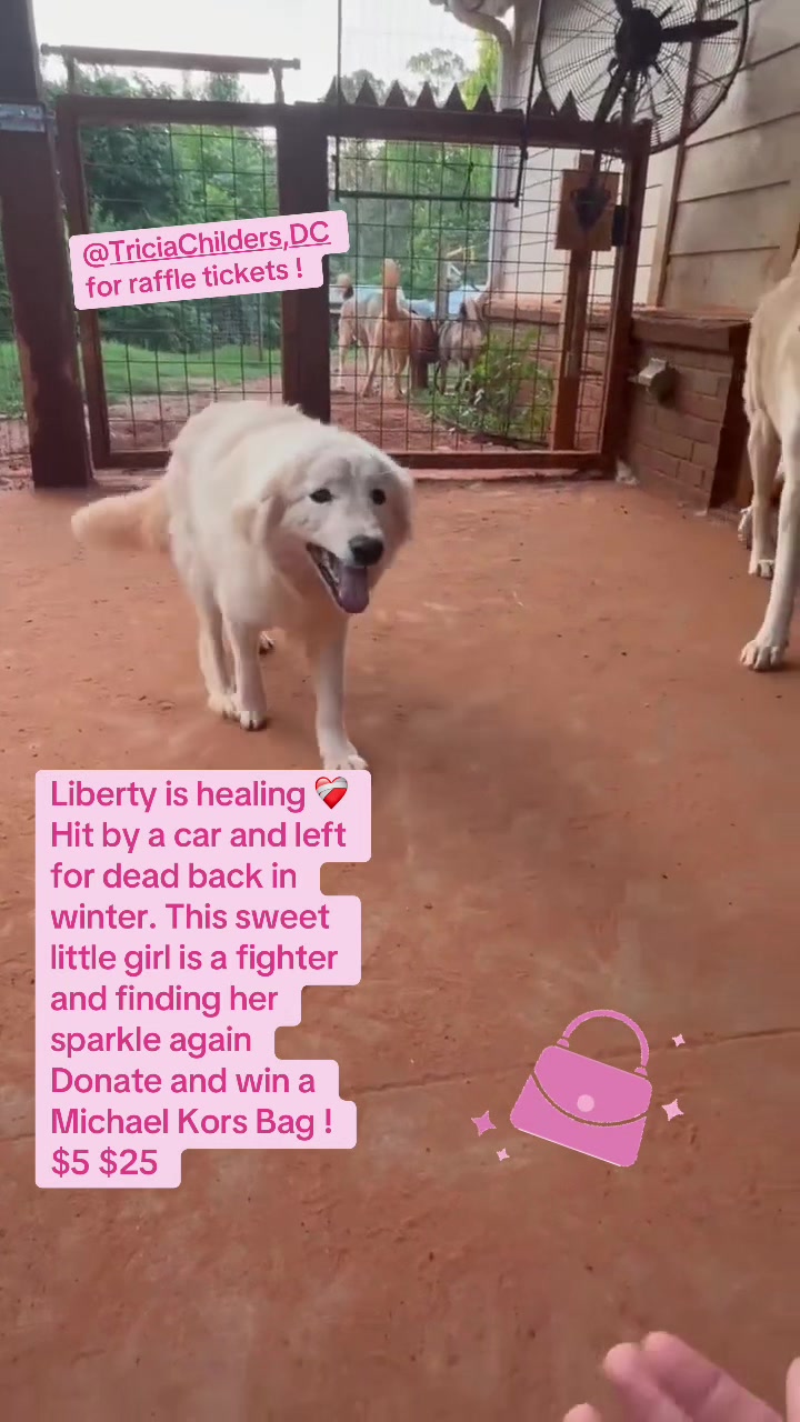 @wanderingheather444