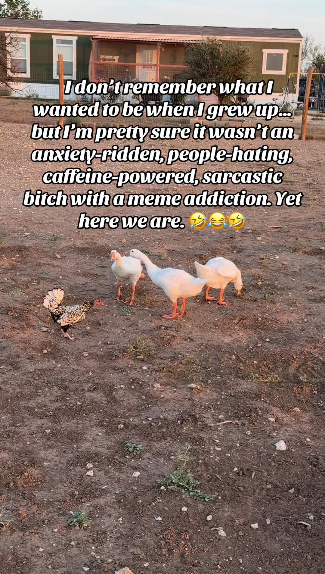 @lc.txmom