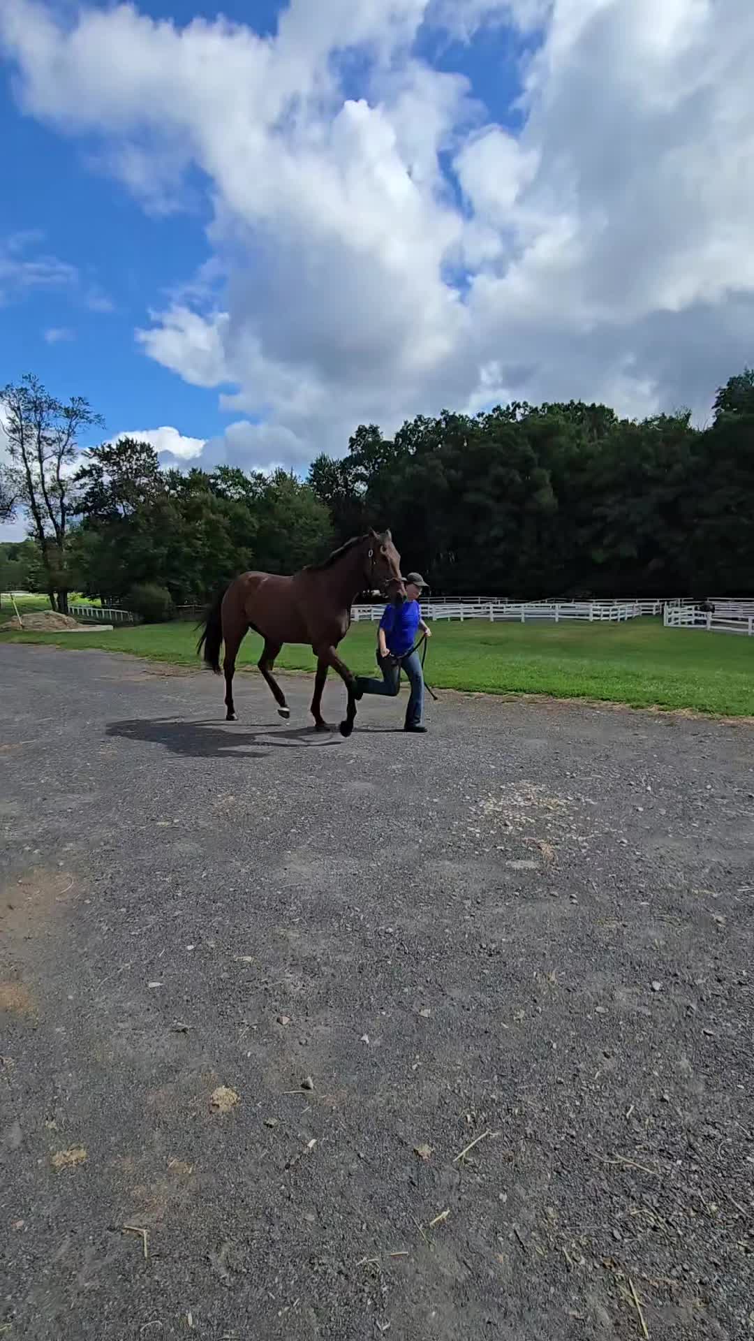 @Lisa Molloy