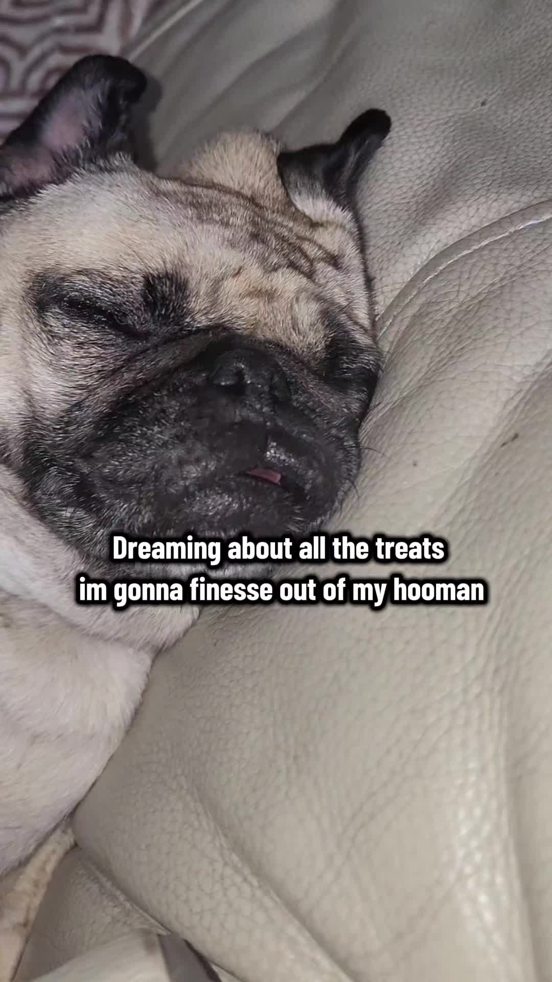 @Lulu