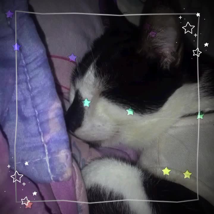 @✨⭐★S-T-A-R★⭐✨