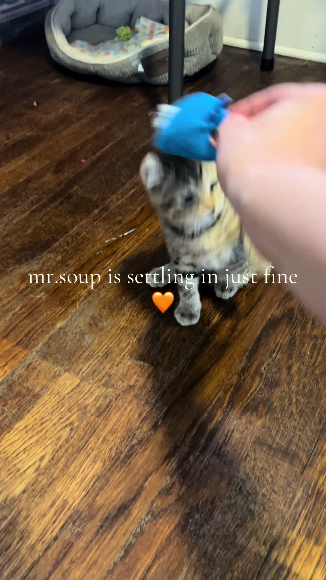 @🫶🏻🥄🪼katieebaby🪼🥄🫶🏻
