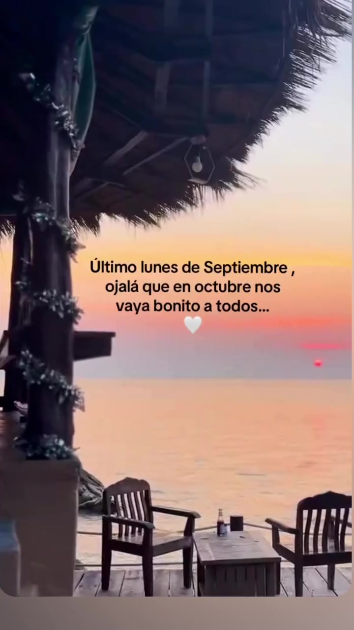 @abejareinaOficial👑