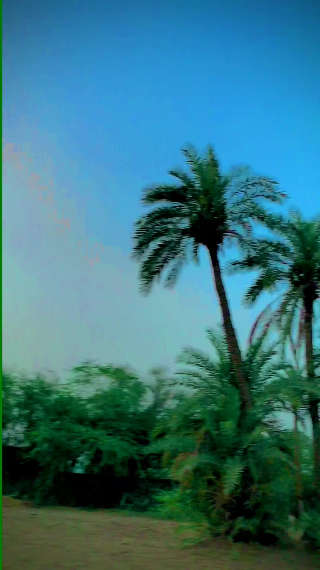 @خلیل کھوسہ 302╾━╤デ╦︻