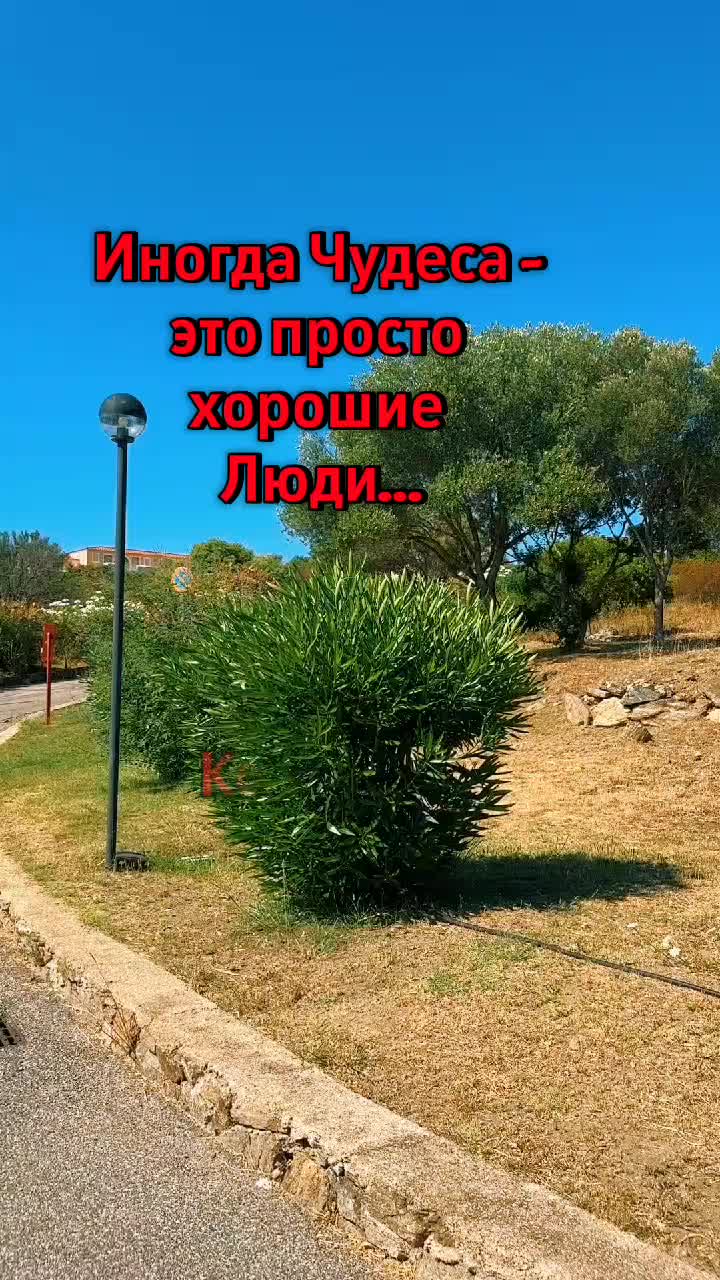@TatyanaS