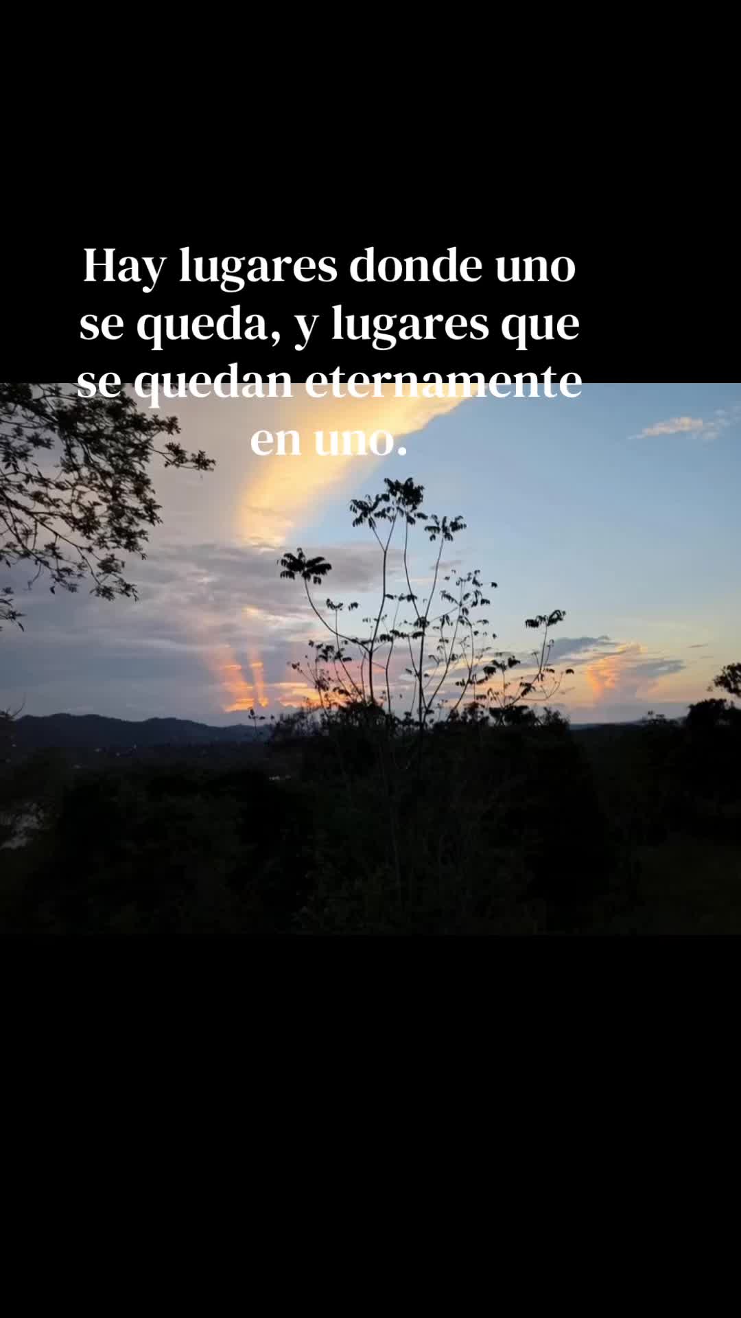 @mariadutta7
