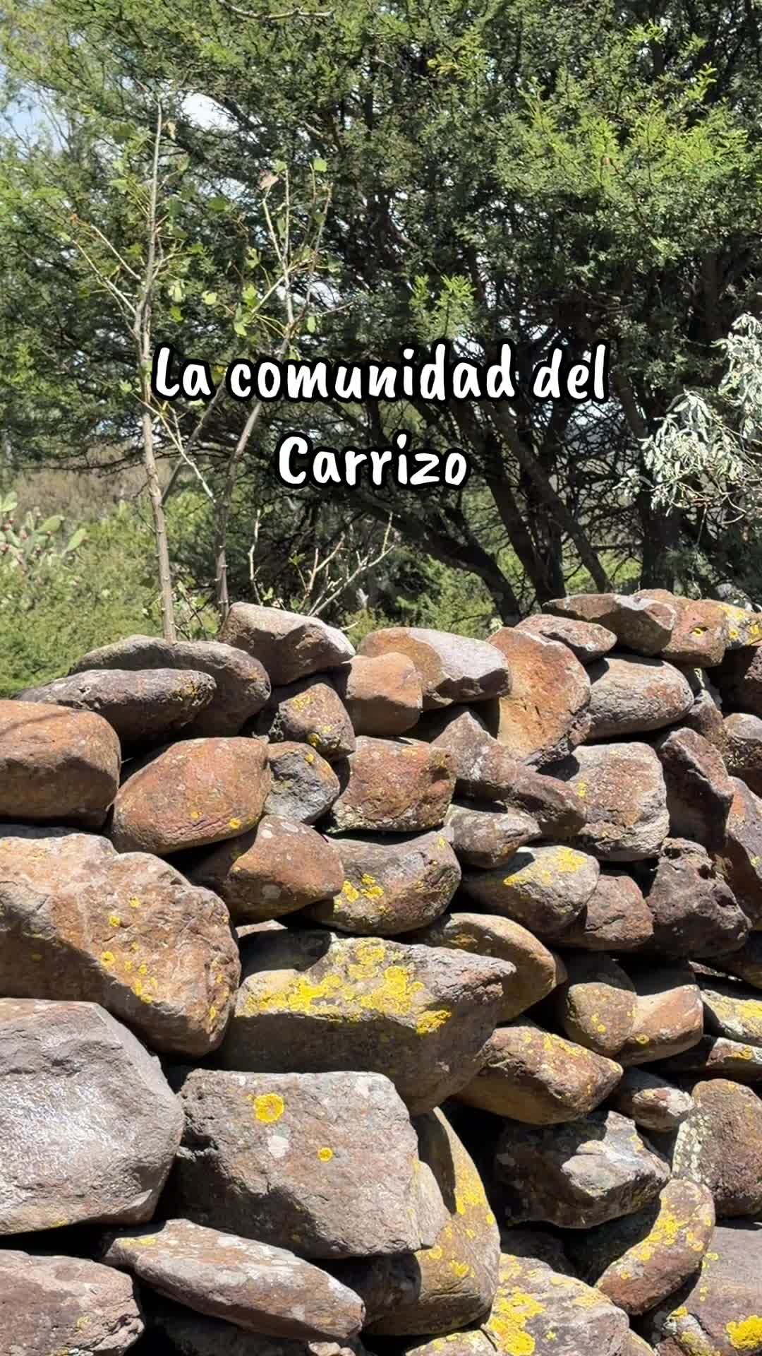 @Antony Saavedra