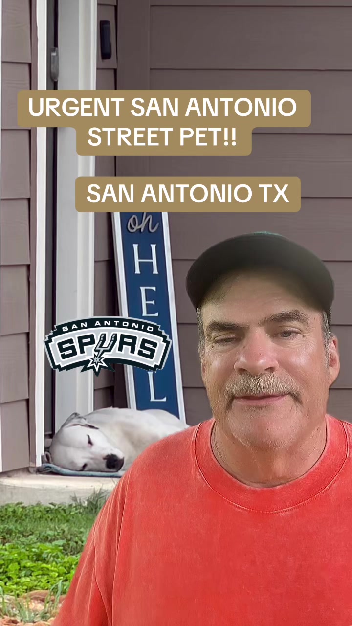 @๐ @stickwithdave