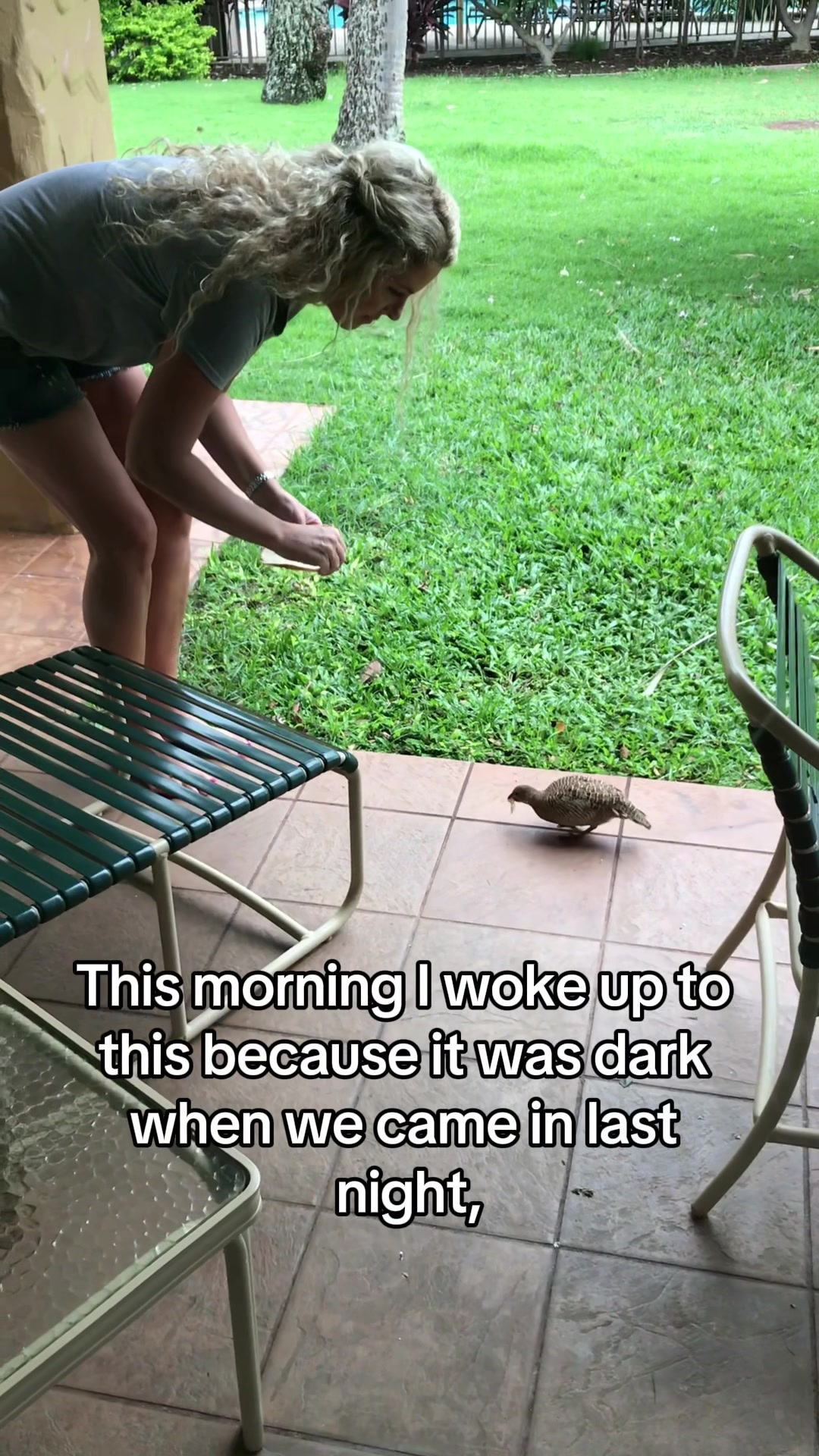 @Dani Abbott