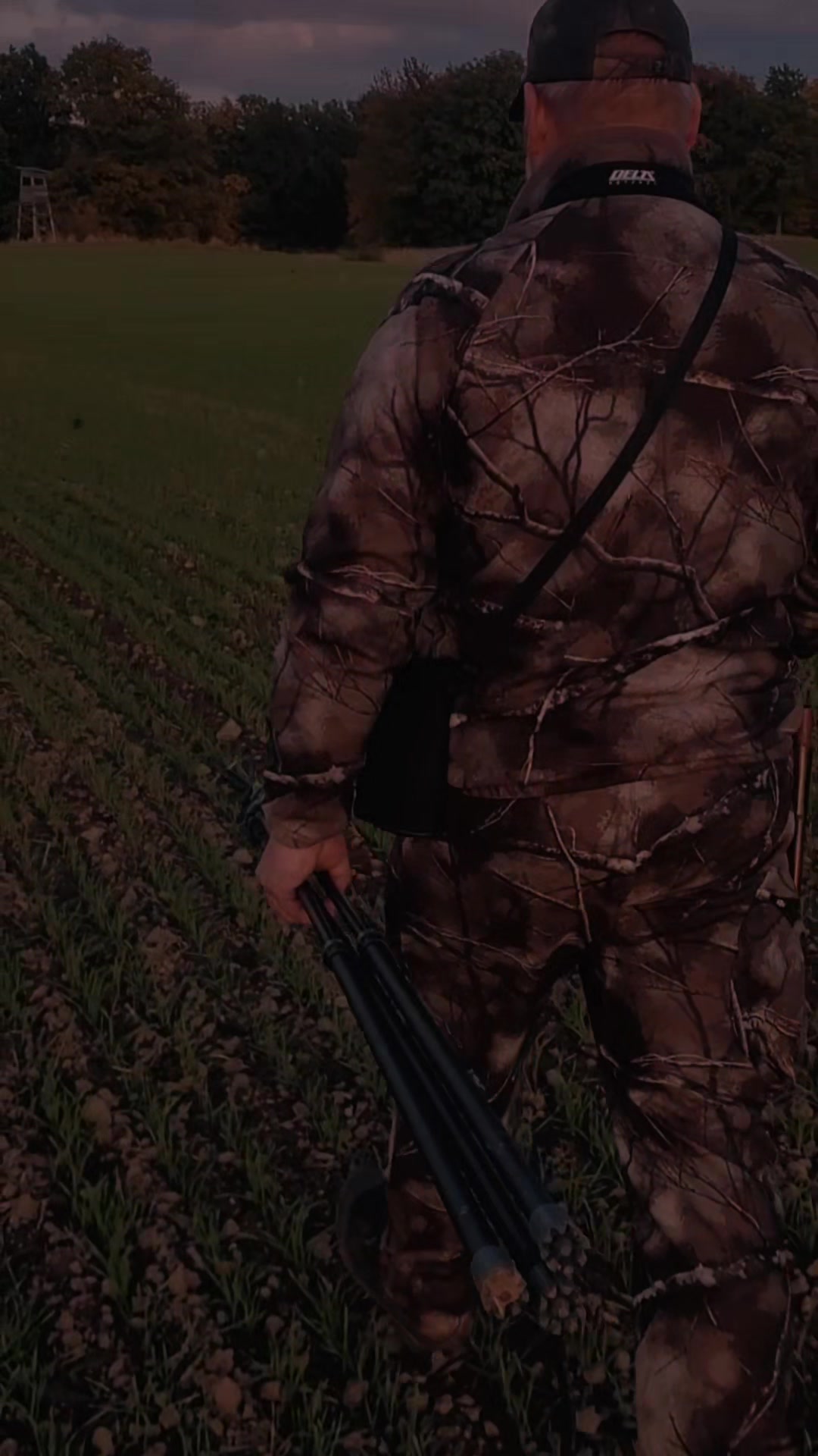 @ddwildhunts