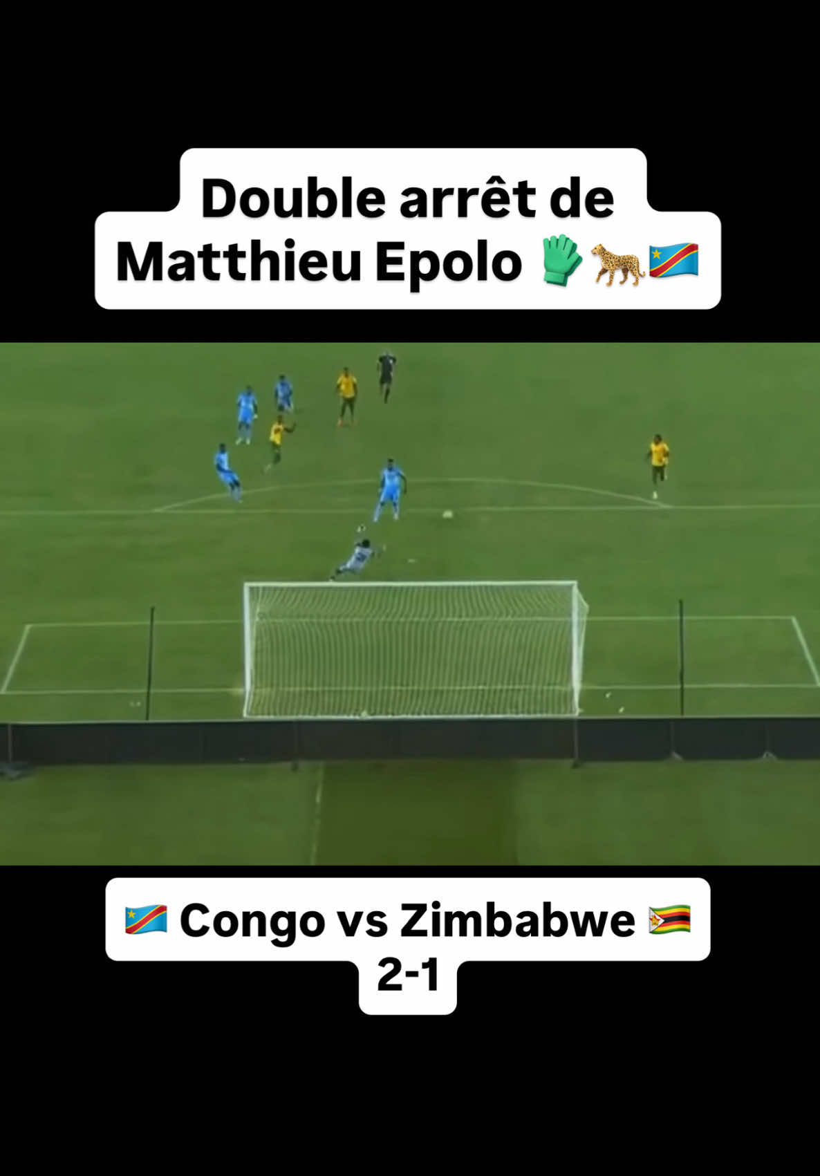 @congolese_dna