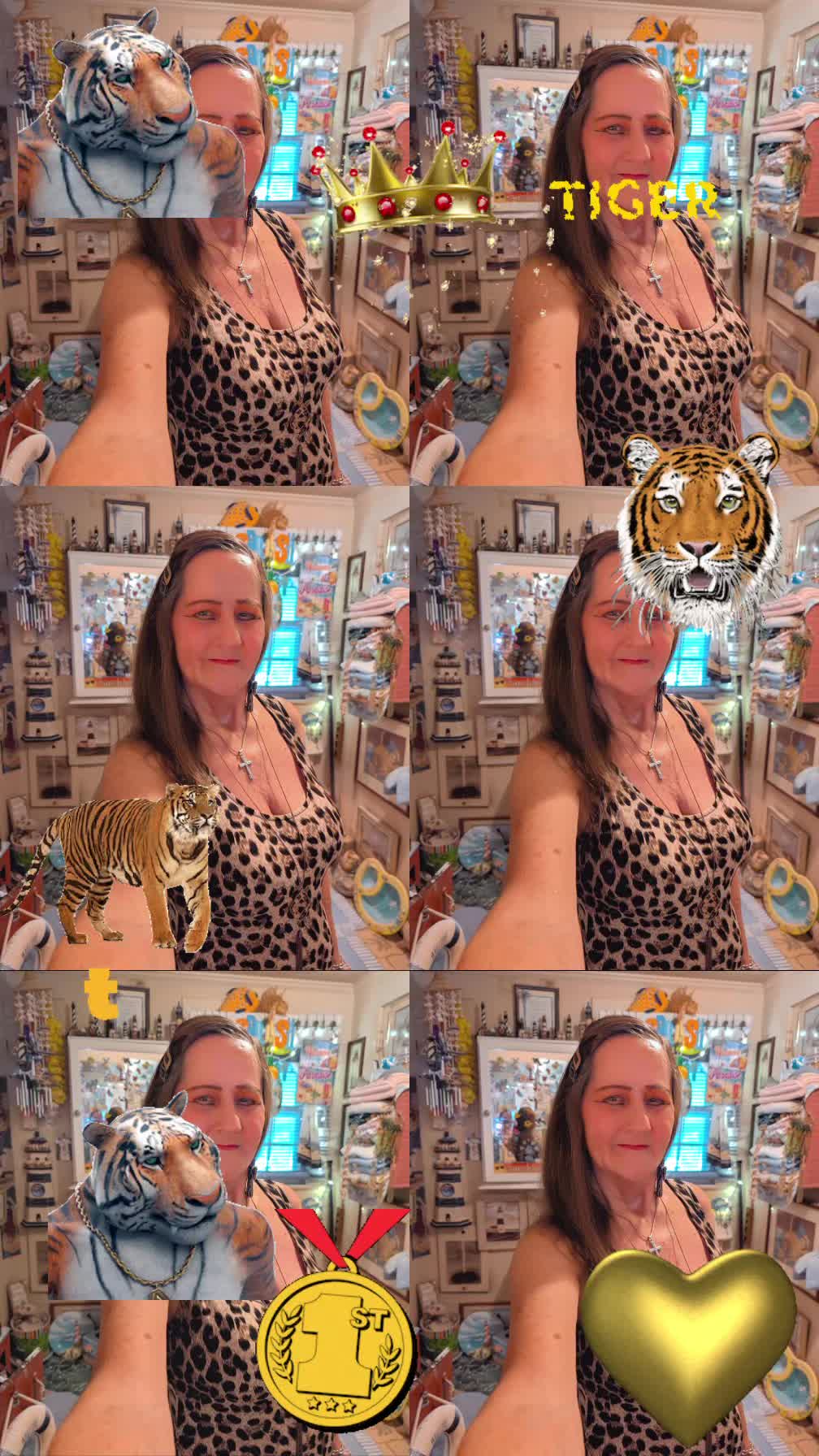@suzietigerrose🐯🙏