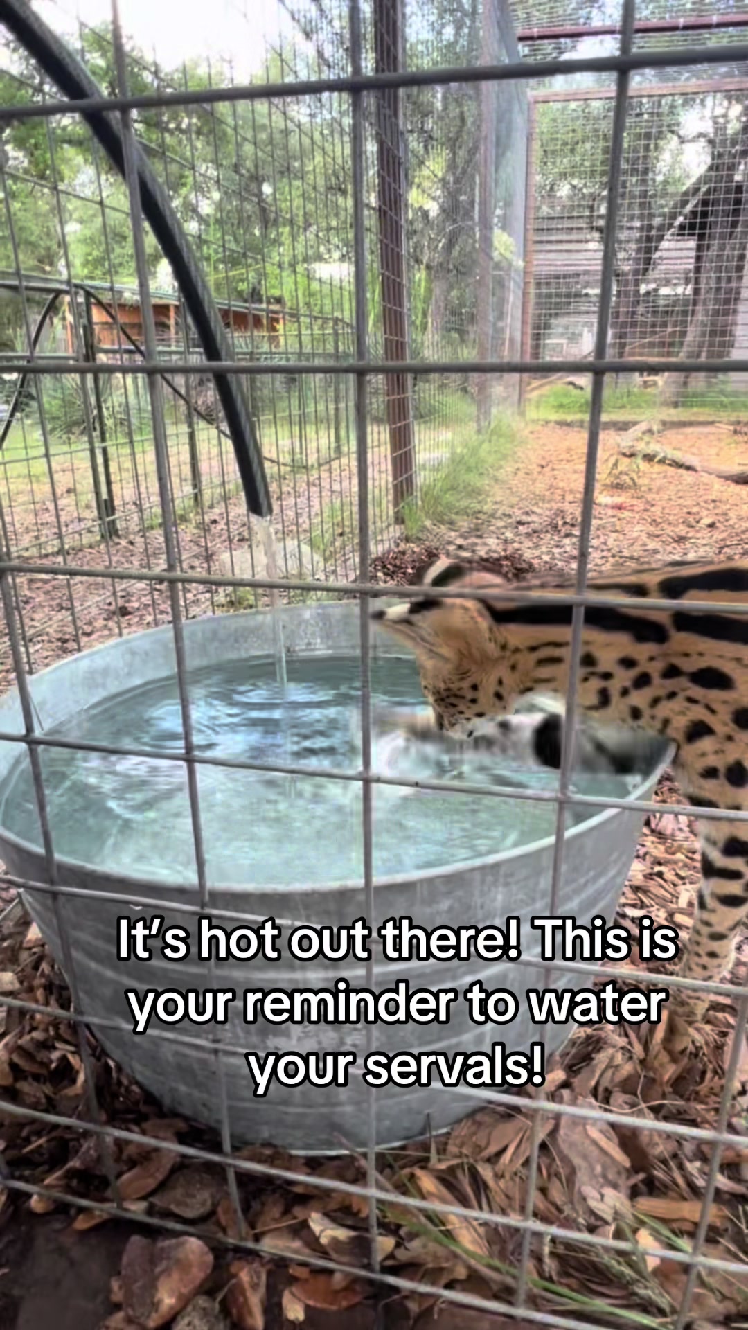 @Texas Wildlife Park
