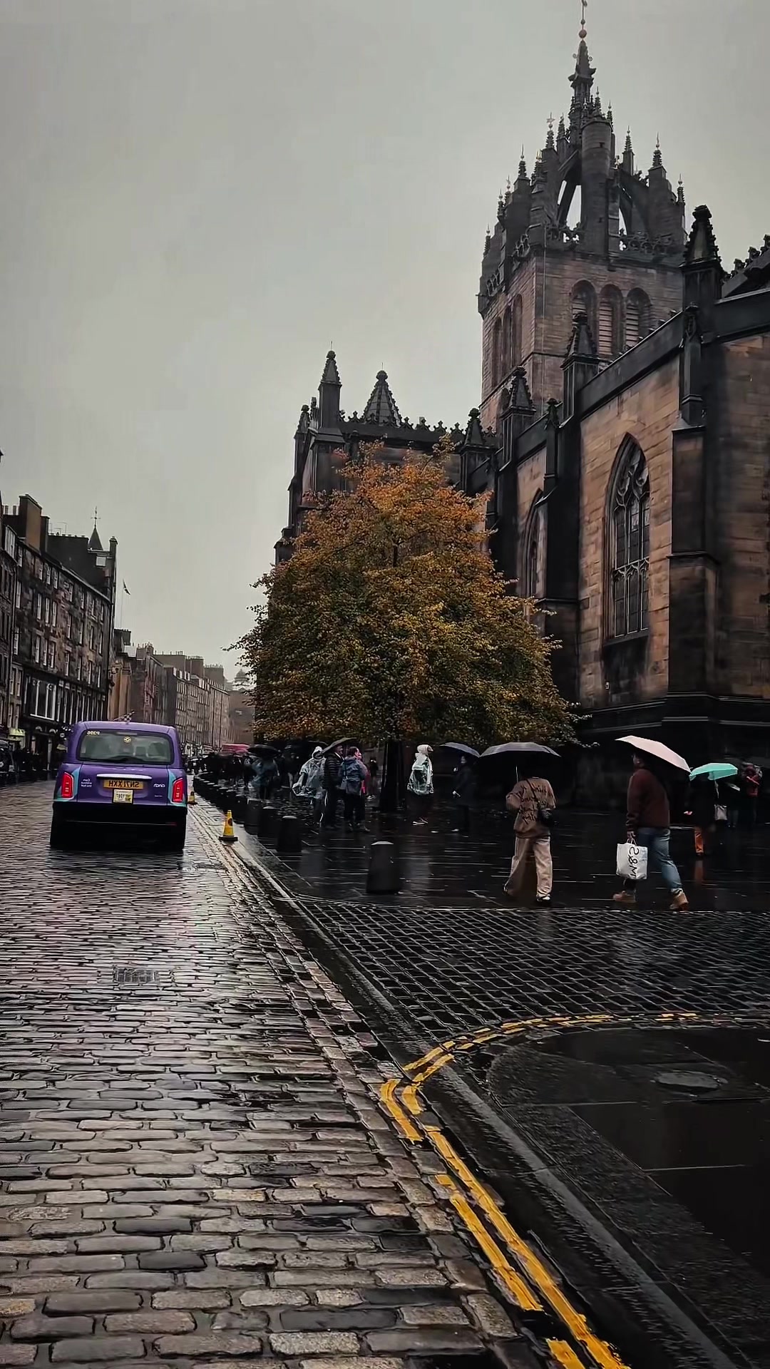 @Beauty of Scotland