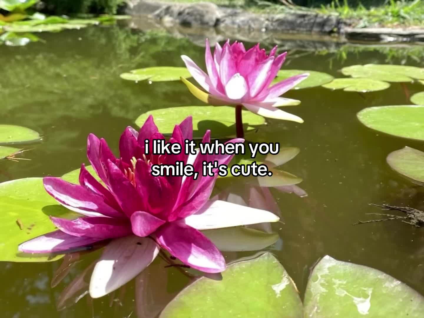 @flowercorrre