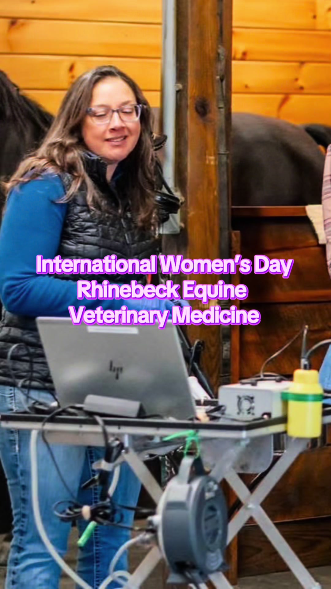 @Rhinebeck Equine