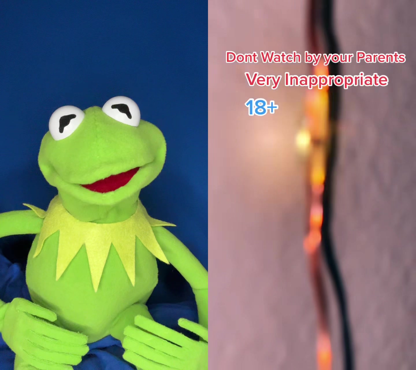 @Kermitthepuppet