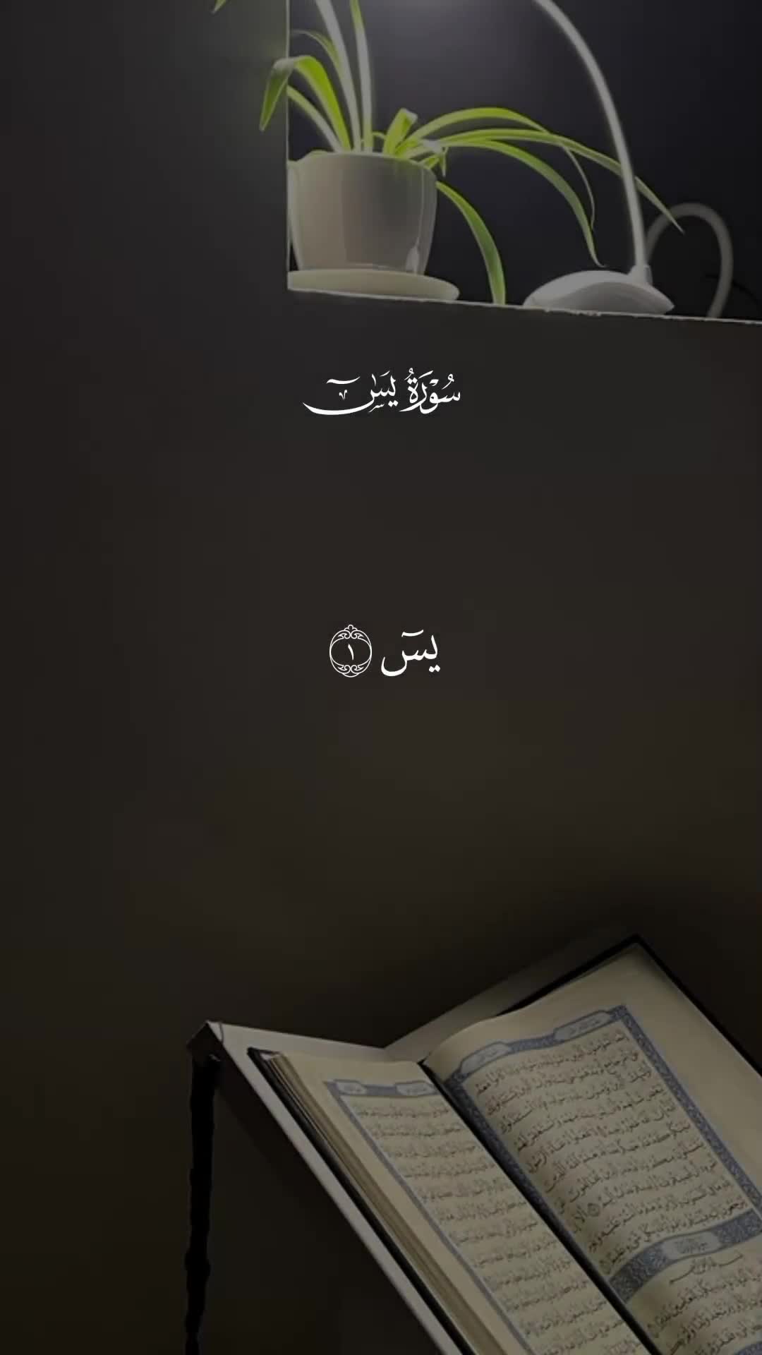 @𝐐 𝐮 𝐫 𝐚 𝐧