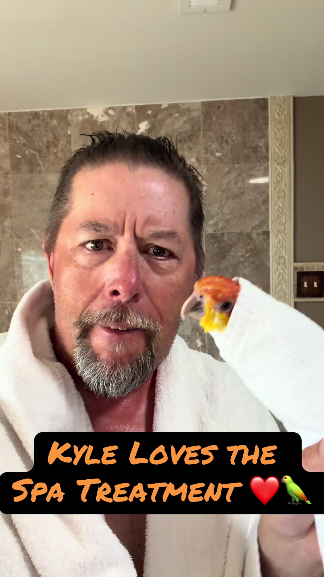 @Kyle The Caique