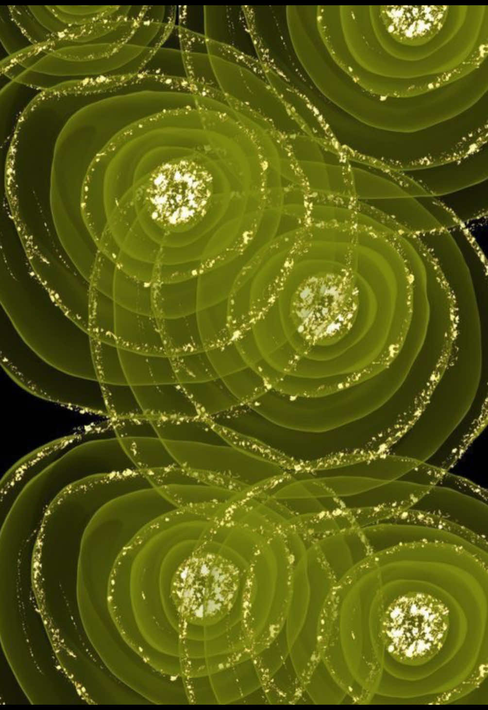 @⋆. 𐙚 ˚❀⋆.ೃ࿔*:･
