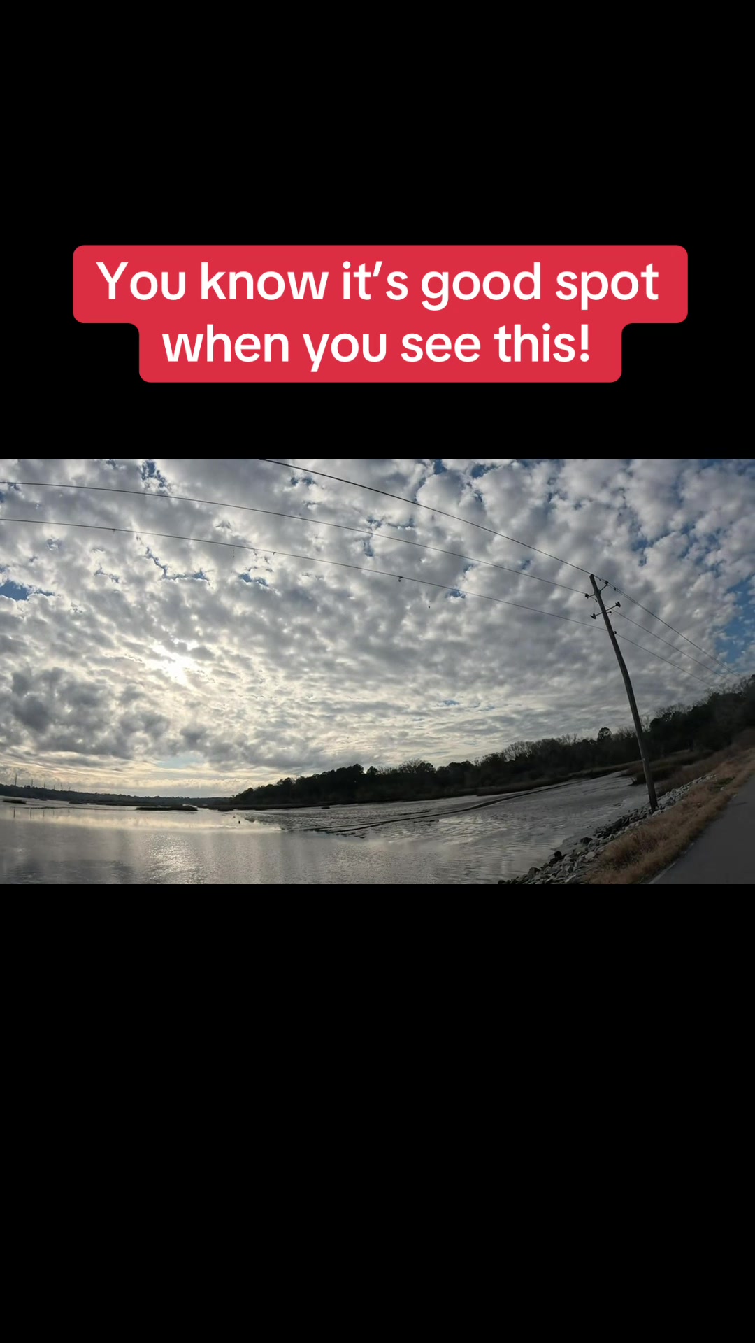 @BeaufortSC_Bait