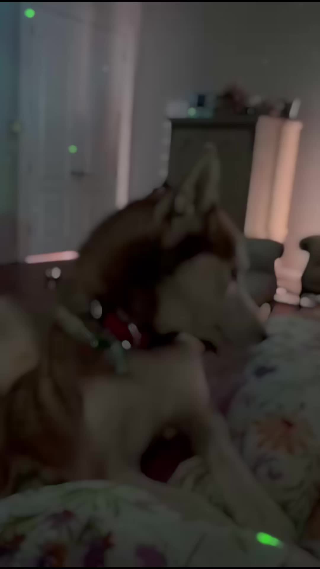 @Arrujj🇺🇸🧚♀️🦋