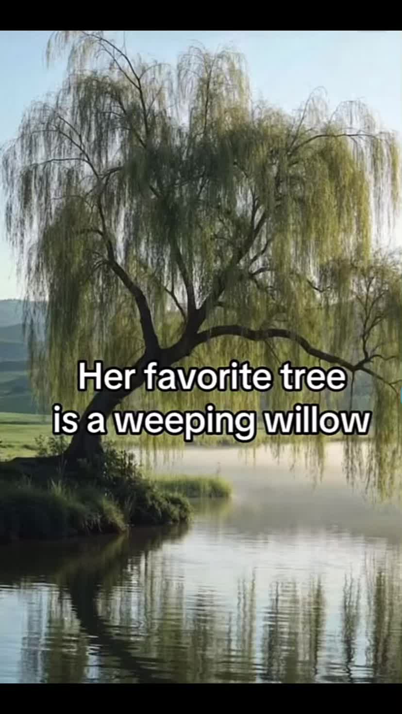 @Kate🦋