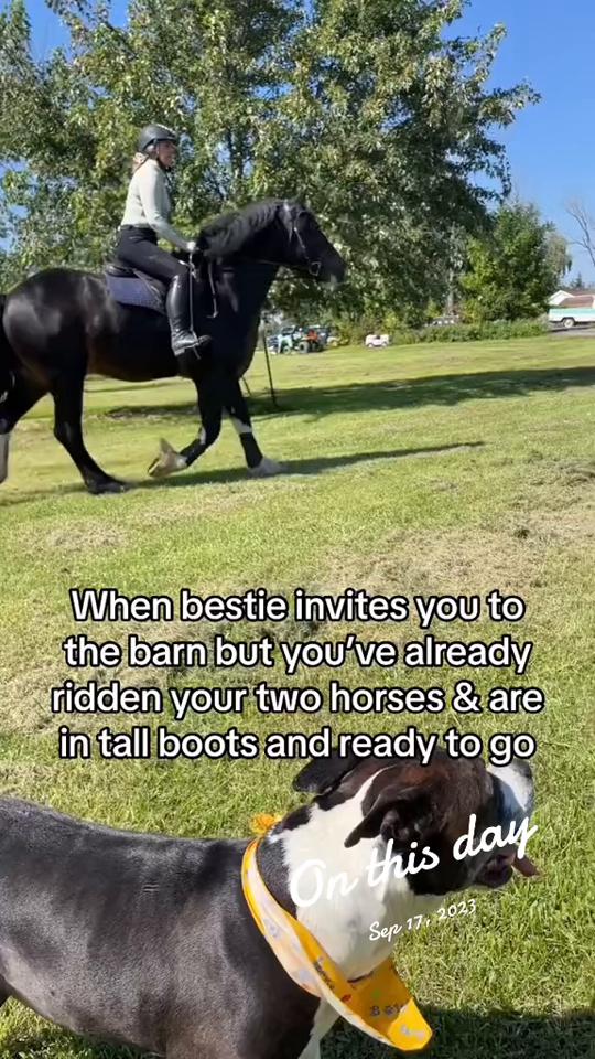 @Ride•BCE