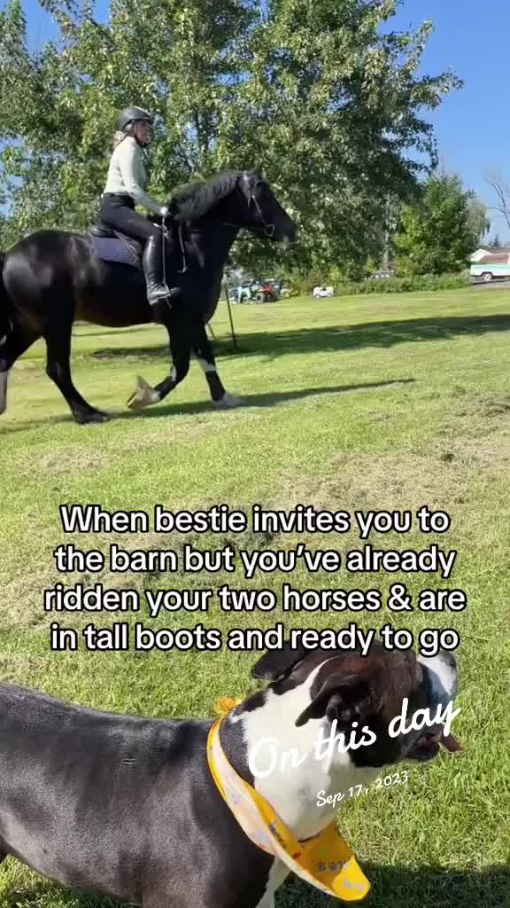 @Ride•BCE