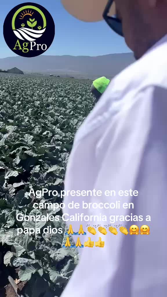 @Piedad Ayala