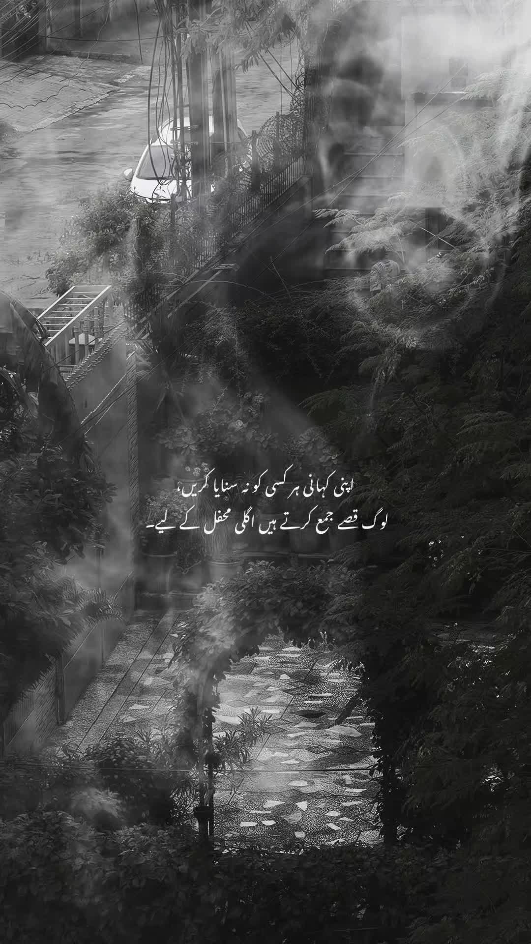 @Usama Tahir❤️&zwj;🩹