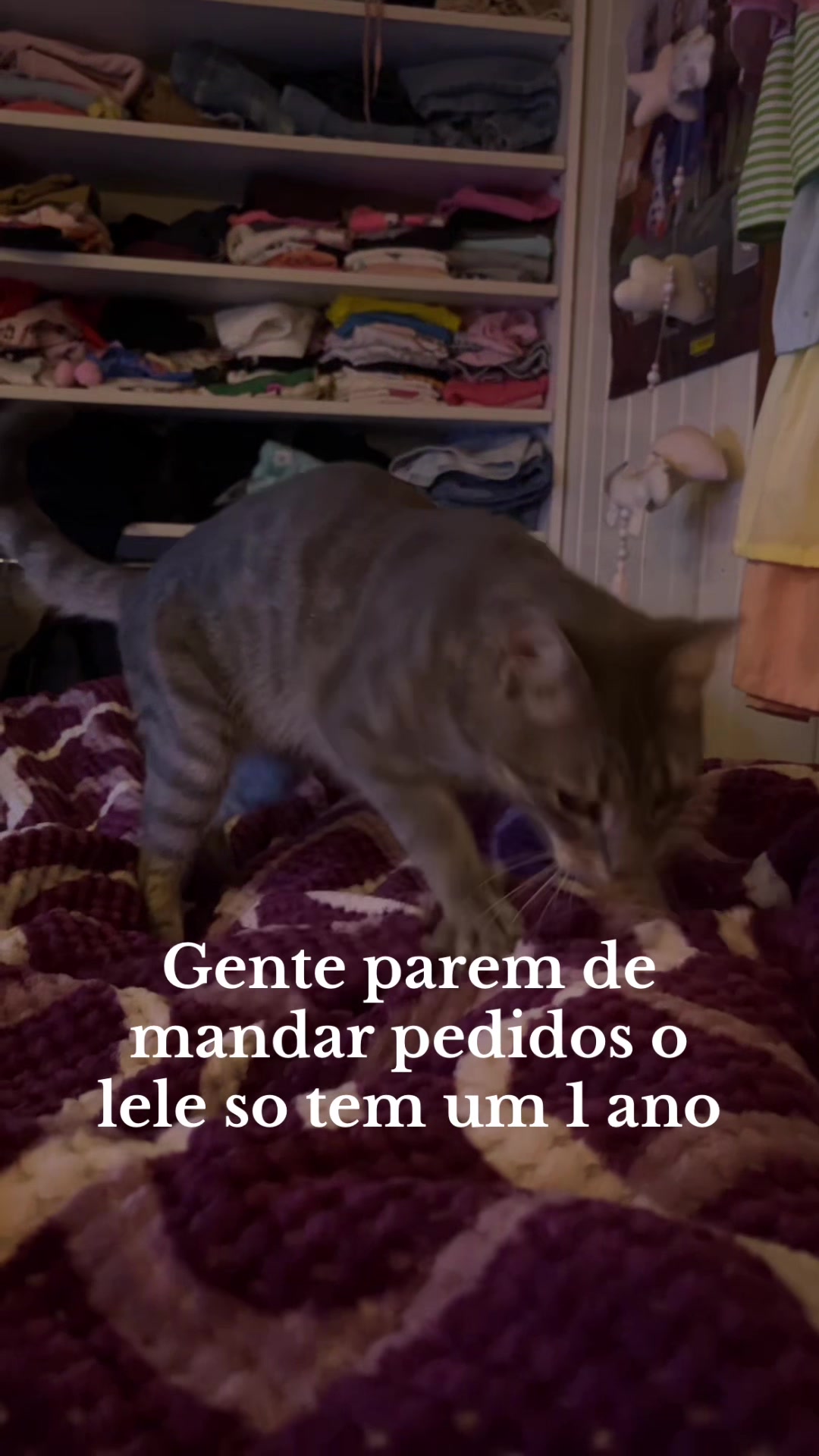 @𖠇ຼ𝓰𝓲𝓰𝓲𝓸𖠇ຼ.