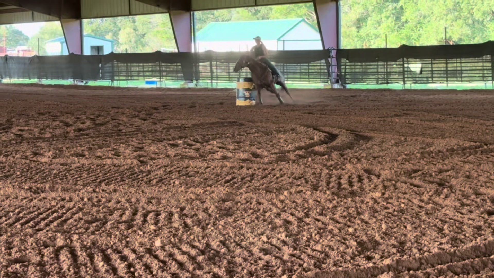 @88 Ranch Performance Horses