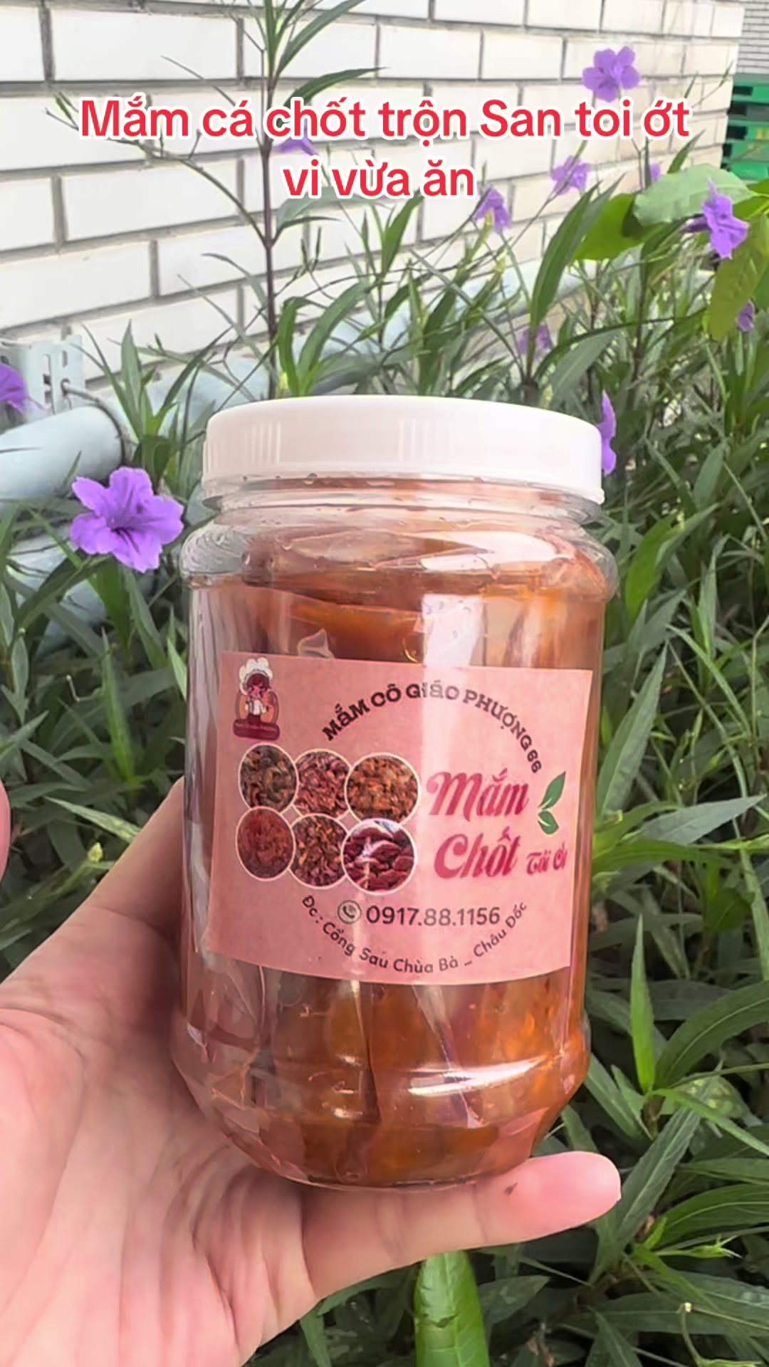 @Shop Mai Ngọc